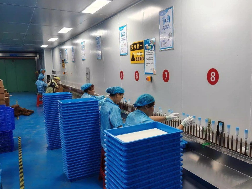 Workers inspecting cosmetic containers at factory quality-control stations
